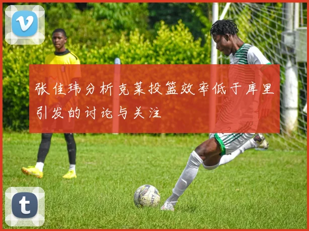 张佳玮分析克莱投篮效率低于库里引发的讨论与关注