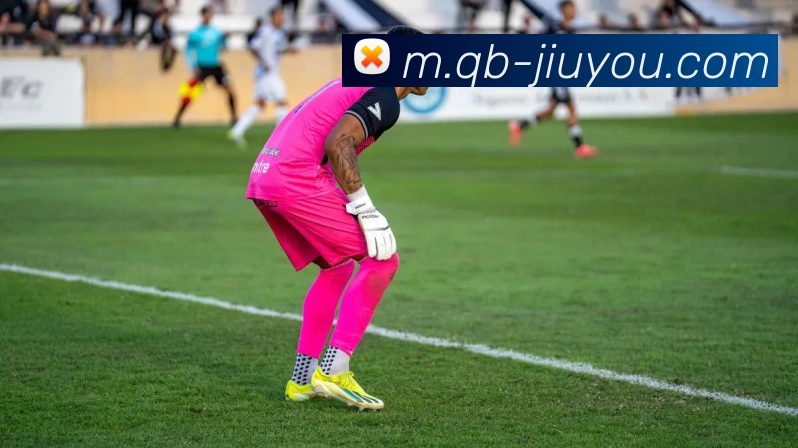 九游体育发展历程